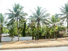 7.60 Perches Land for Sale in Meegoda