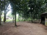 76p Land for Sale Thalawathugoda
