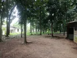 76p Land for Sale Thalawathugoda