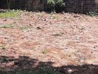 7.7 Perch Bare Land For Sale In Bellanvila Junction