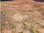 7.7 Perches Land for Sale in Colombo 13