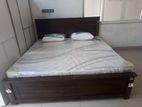 78-72 Box Bed with Spring Mattress (ee-21)