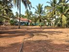 78.5 Perches of Land for Sale in Pamunugama, Welikatiya