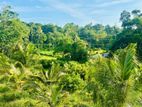 788 Perches Land For Sale in Weligama (SSPL-459)