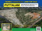 7A Valuble Land for sale in Puttlam