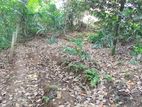 7P Land for Sale in Ambatenna