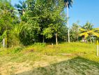 7P Superb Land at Gothatuwa, Close to Rajagiriya & Dematagoda