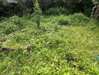 8 / 17.5 Perch Bare Land for Sale in Thalawathugoda CVVV-A1