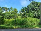 8 acres and 112 perches of land for sale in Kirindiwela (SSPL-307)
