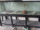 8-foot Aquarium Glass Panels with Metal Stand (Used)