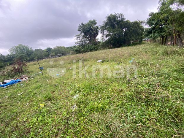 8 P BARE LAND FOR LEASE FACING ALLEN AVANUE, Colombo