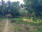 80 Perches Land for Sale in Jaffna
