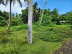 8 Perch Land for Sale - Ja Ela Bopitiya