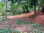 8 Perches Land For Sale in Ganemulla (SSPL-489)