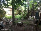 8 Perches Land Sale in Colombo 6