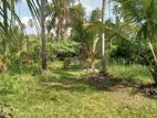 80 Acre Coconut Estate Sale,Kurunegala