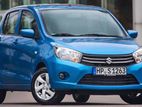 80% Easy Leasing 11% ( 7 Years ) Suzuki Celerio 2016