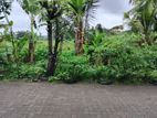80 Perch Land for Sale – Hokandara