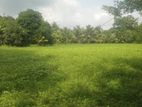 80 Perch Land for Sale Vavuniya