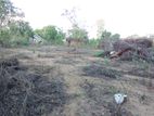 80 Perch Land for Sale in Hambantota