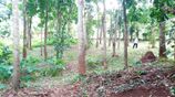 80 Perch Land for Sale in Matale