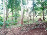 80 Perch Land for Sale in Matale