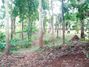 80 Perch Land for Sale in Matale