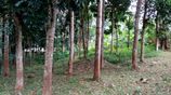 80 Perch Land for Sale in Matale