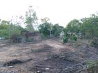 80 Perch Land for Sale in Mirijivila