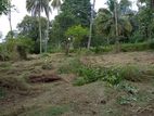 80 Perch Land for Sale Kurunegala