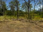 80 Perch Land for Sale Near Mahiyangana Town