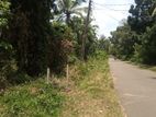 80 Perch Land for Sale Near Weligama