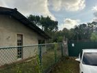 80 Perch Land with Single House for Sale Negombo Demanhandiya
