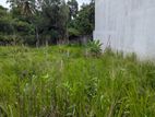 8.0 Perches | 6.5 6.7 Land in Thalawathugoda