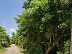 80 Perches bare Land for Salle at Kaduruduwa- Panadura.
