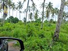 80 Perches Land for Sale in Homagama