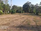 80 Perches Land for Sale In Kandana, Rilaulla
