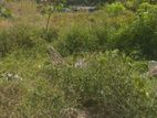 80 Perches Land Sale in Dehiwala Attidiya Road