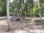 80 Perches Land With House For Sale Binggiriya
