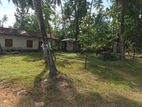 80 Perches Land with Old House For Sale Thummodara