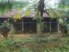 800sqft House With 34.5 Perch Land - Kurunegala