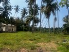 80P Beachfront Land For Boutique Hotel, Resort, Retirement Home