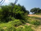 80P Beachfront Land For Boutique Hotel, Resort, Retirement Home