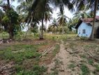 80P Land for Sale with House - சங்கமன்கந்த மணல்சேனை