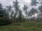 80P Land with Unfinished house for Sale Wariyapola, Mirihanegama