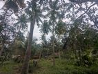 80P Land with Unfinished House - Wariyapola, Mirihanegama