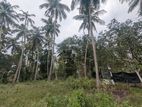 80P Land with Unfinished House - Wariyapola, Mirihanegama