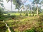 80P Paddy Feild Facing Beautiful Land For Sale In Mirissa