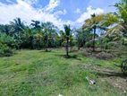 81 P Land for Sale Wariyapola, Kelimune