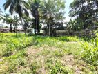 8.1 P Residential Bare Land for Sale
